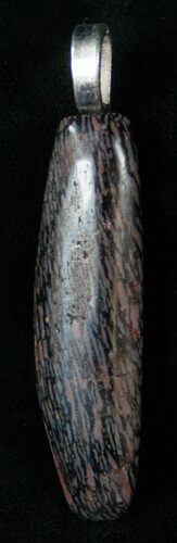 Beautiful Colorado Agatized Dinosaur Bone Pendant #14893